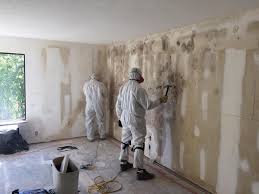 Best Mold Odor Removal Services in North Pembroke, MA